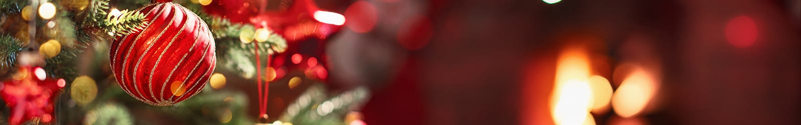 Christmas 22 Banner