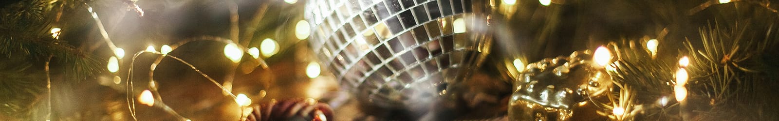 Christmas 22 Party Nights Banner