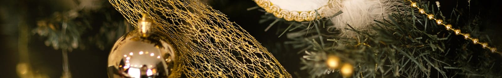 Christmas Day Banner